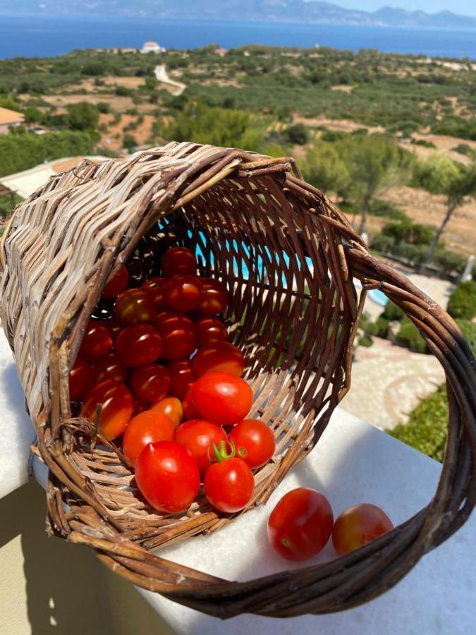 Appart hôtel Lithies Sea View Boutique 2*